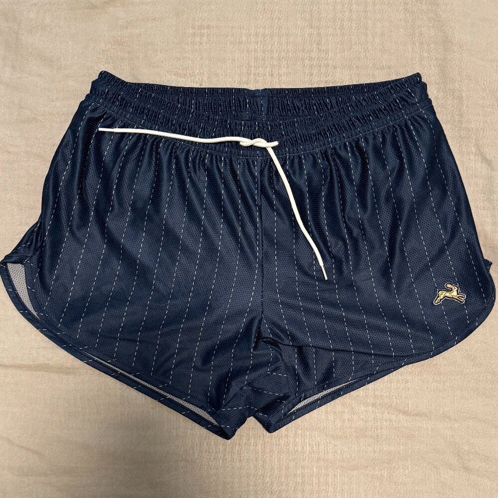 Tracksmith Van Cortlandt Shorts - pinstripe navy blue